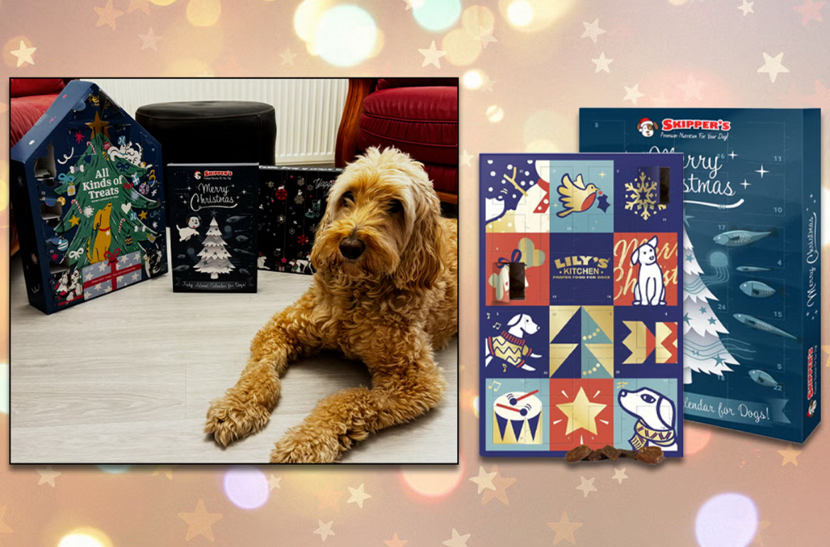 Best dog advent calendars for the pawfect Christmas countdown