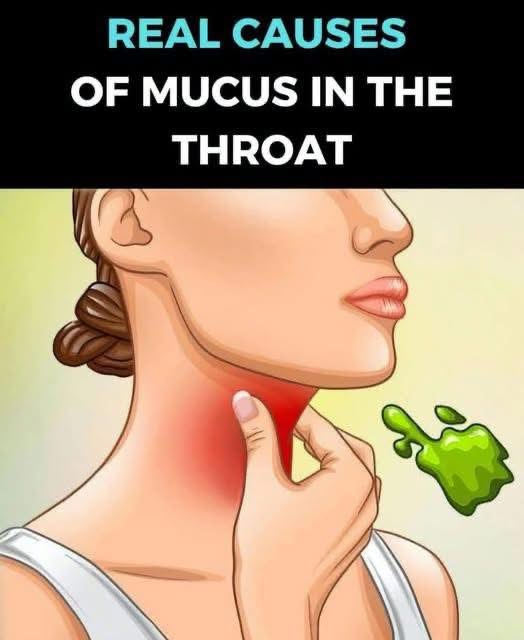 How To Get Rid Of Phlegm And Mucus In Chest And Throat