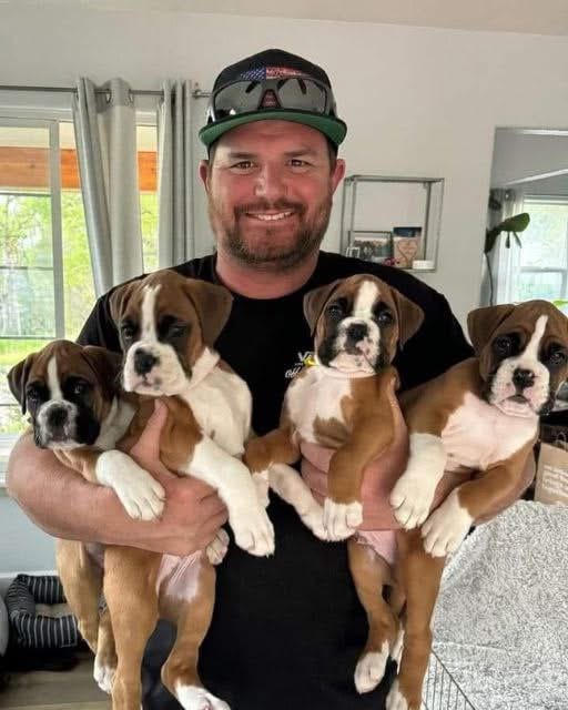 On the side of the road, I discovered four boxer puppies