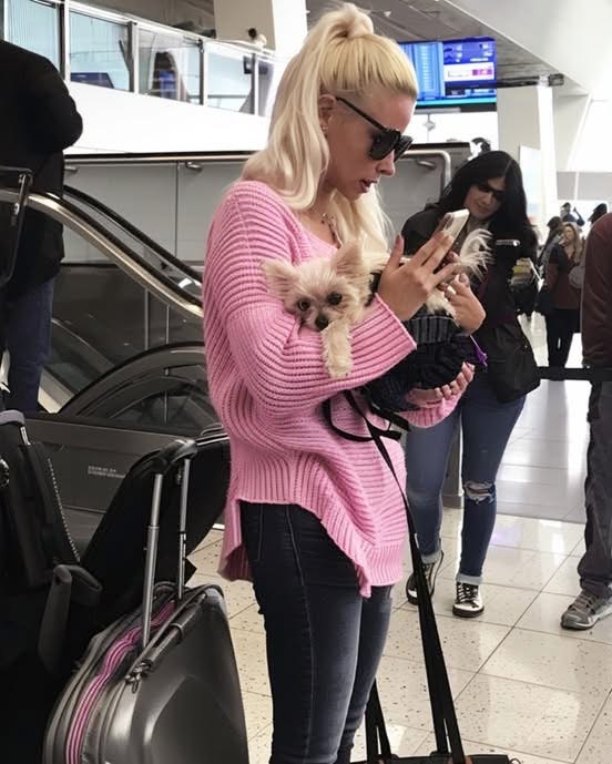 Entitled Dog Owner Made the Airport Hell for Everyone – She Deserved What I Did at the Gate