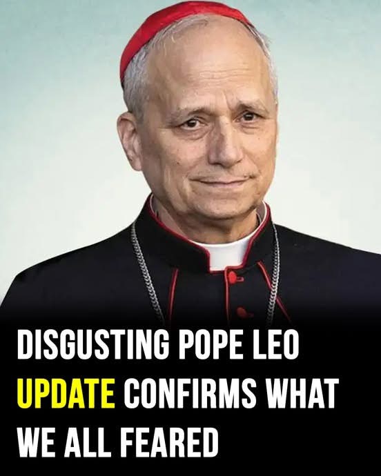 “Woke” Pope Leo XIV slammed by MAGA supporters