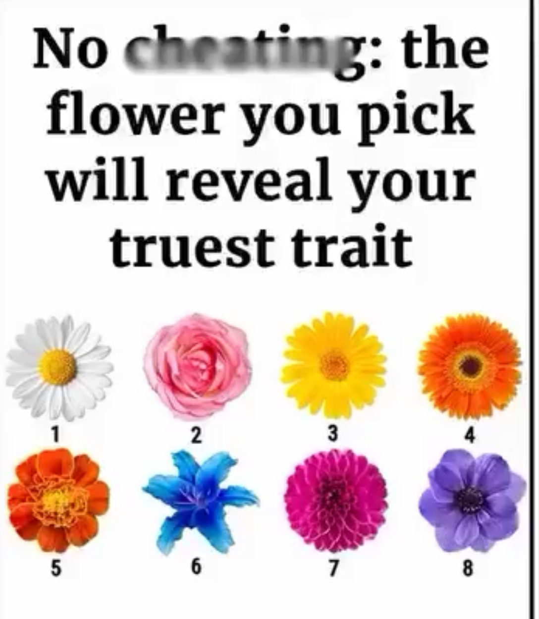 What Your Favorite Flower Reveals About You