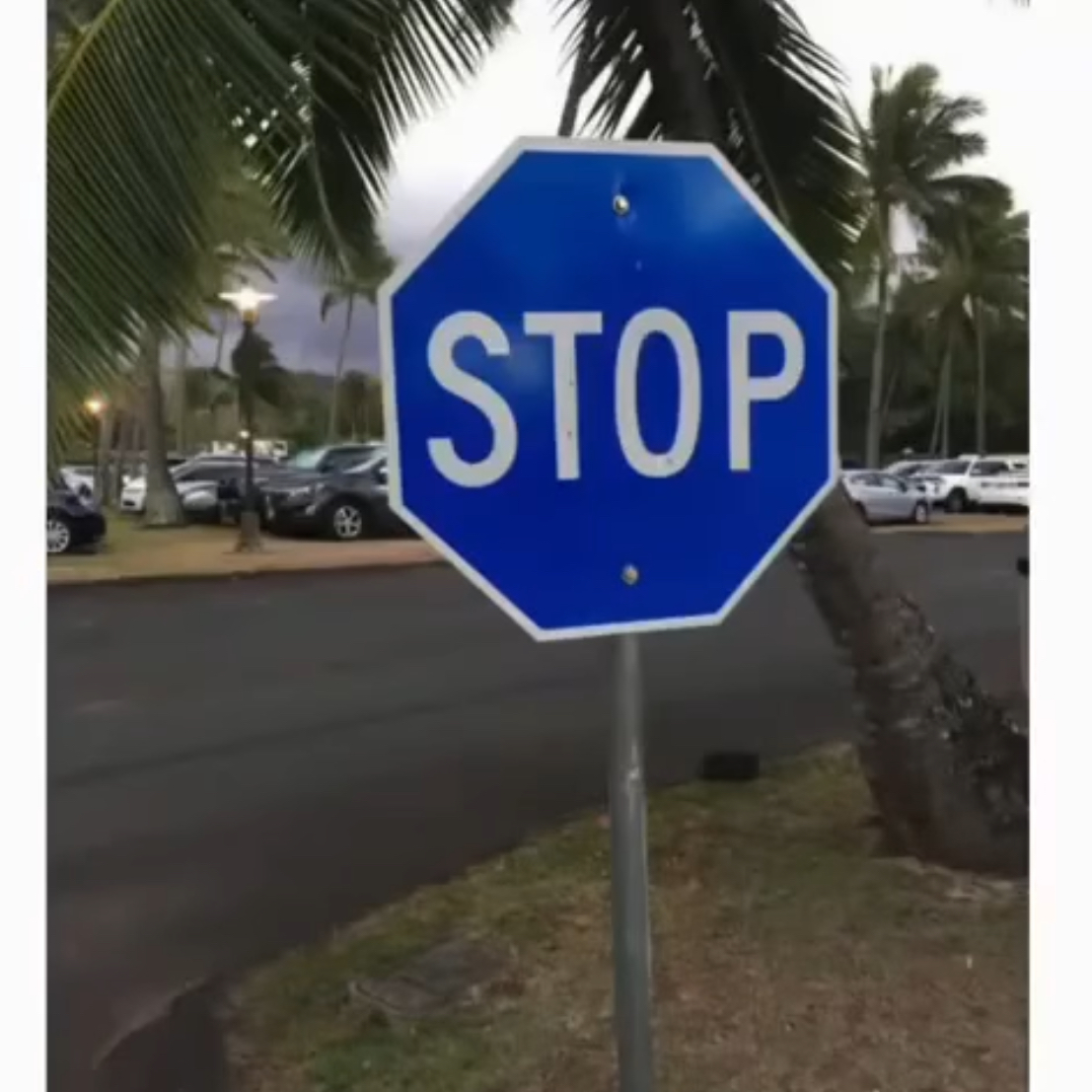 The Meaning Behind a Blue Stop Sign and…