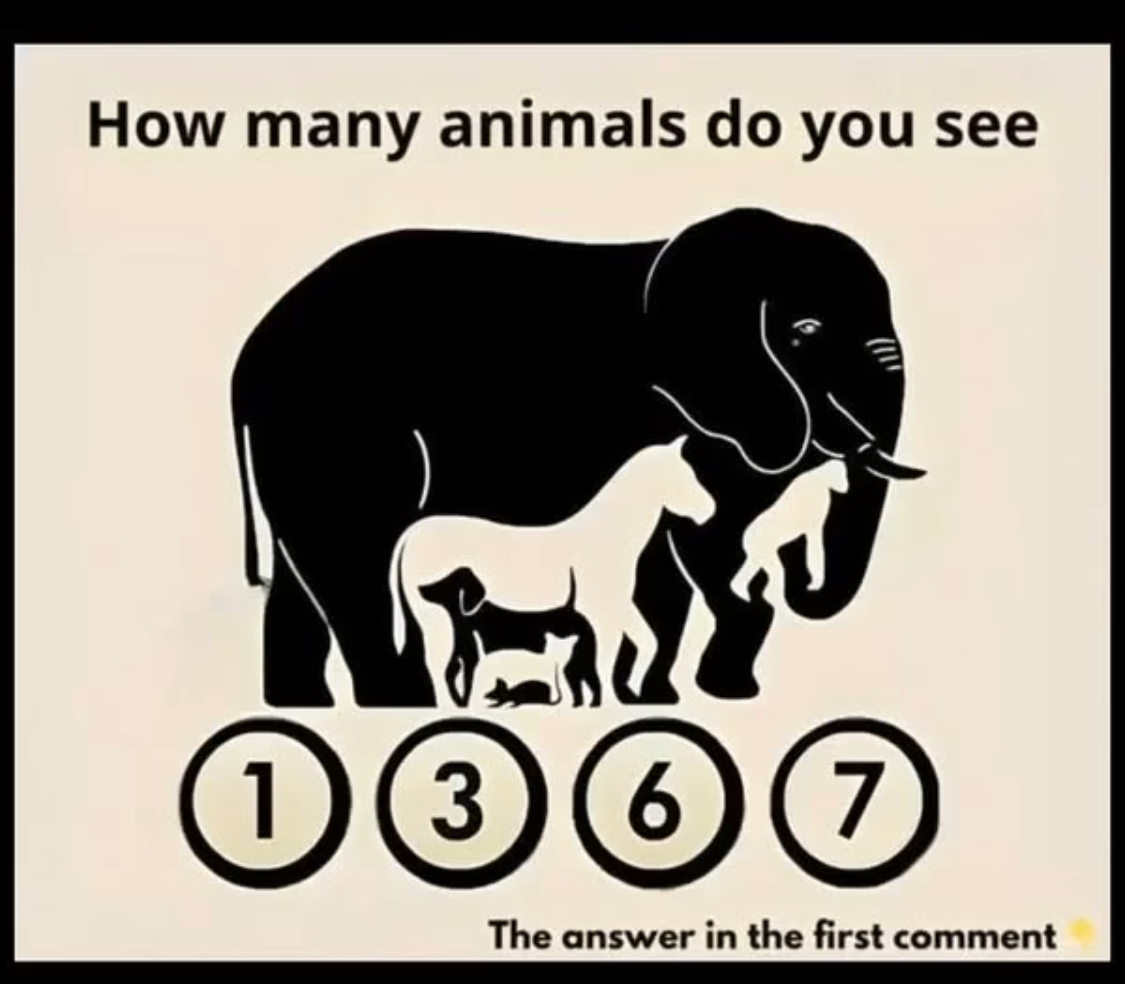 Can You Spot All the Hidden Animals in This Image