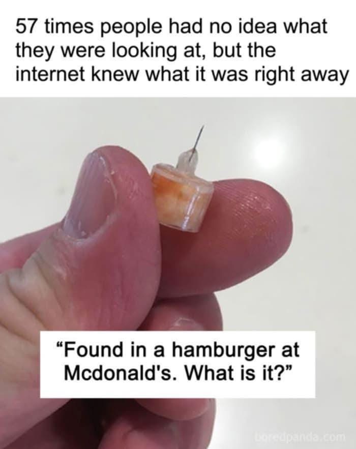 57 Times People Were Stumped By What They Saw—But The Internet Identified It Instantly (Check The Link In The Comments)