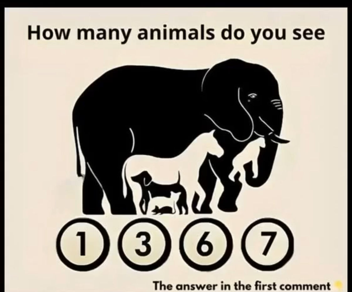 How Many Hidden Animals Can You Find in This Picture?