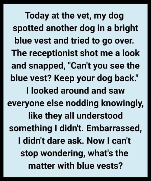THE DAY MY DOG TAUGHT ME SOMETHING I NEVER LEARNED IN SCHOOL
