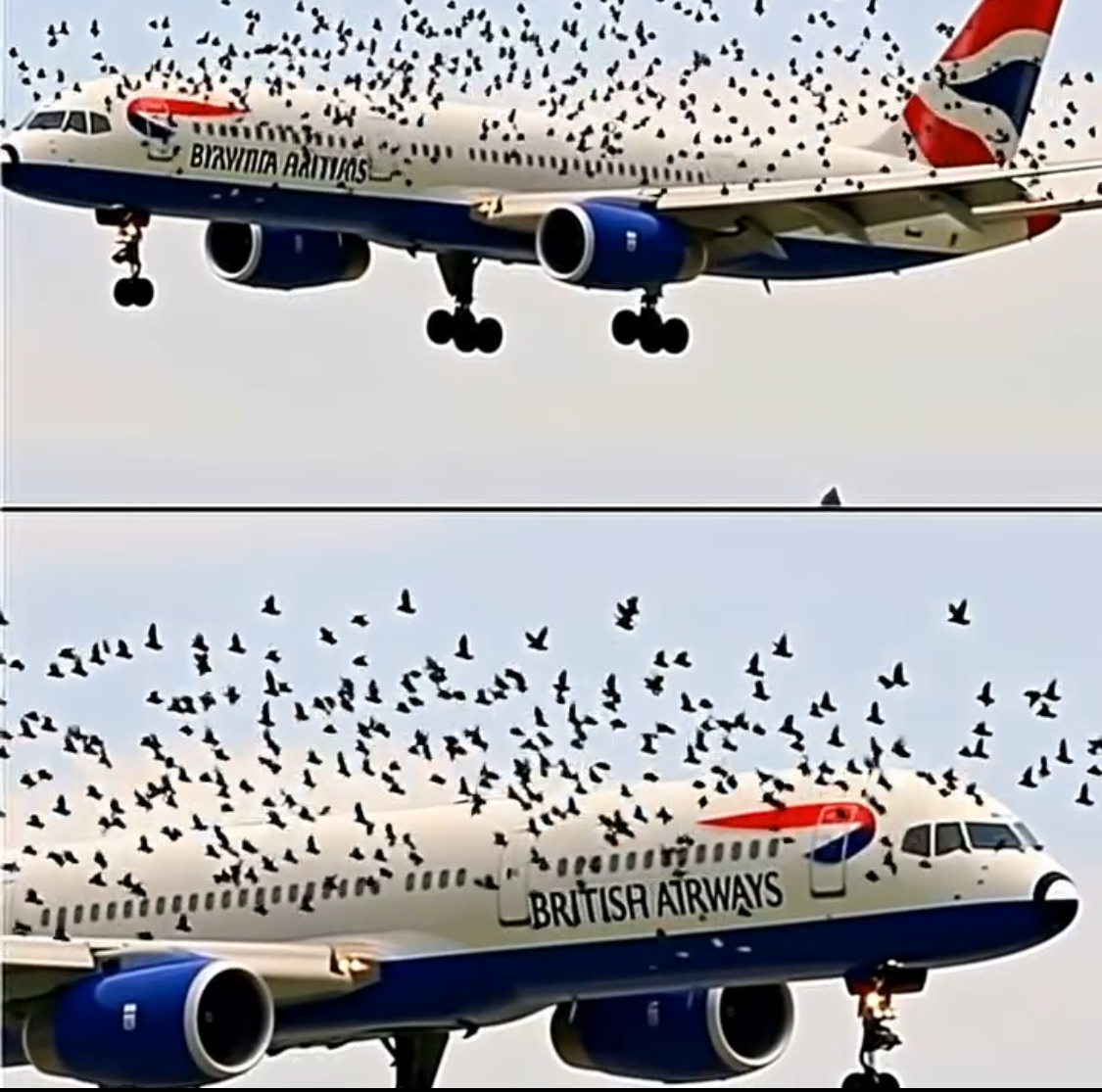 Pilot Reacted Emotionally When He Realized