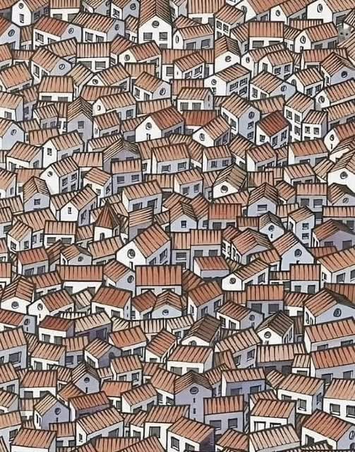 Only People With Eagle Eyes Can Spot The Hidden Cat In This Image Of Houses