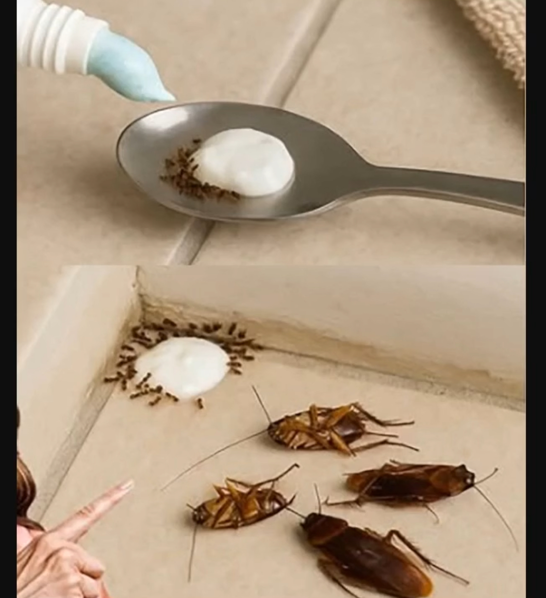 This One Trick Will Keep Flies Out for Good