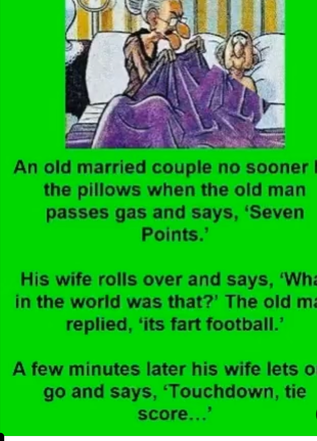 An Old Man Breaks Wind In Bed And Starts A Farting Contest With His Wife